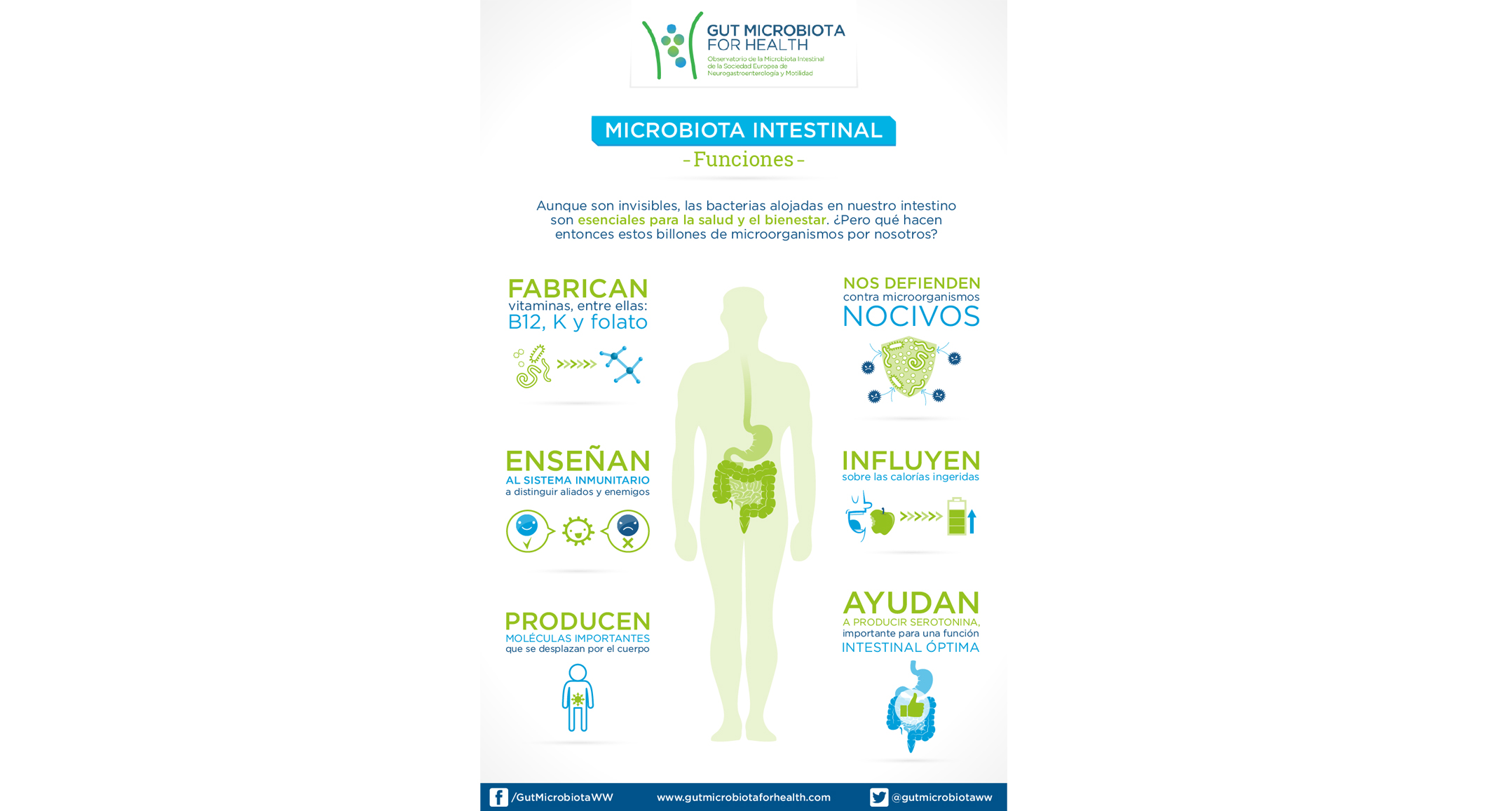 Microbiota intestinal_funciones_ES