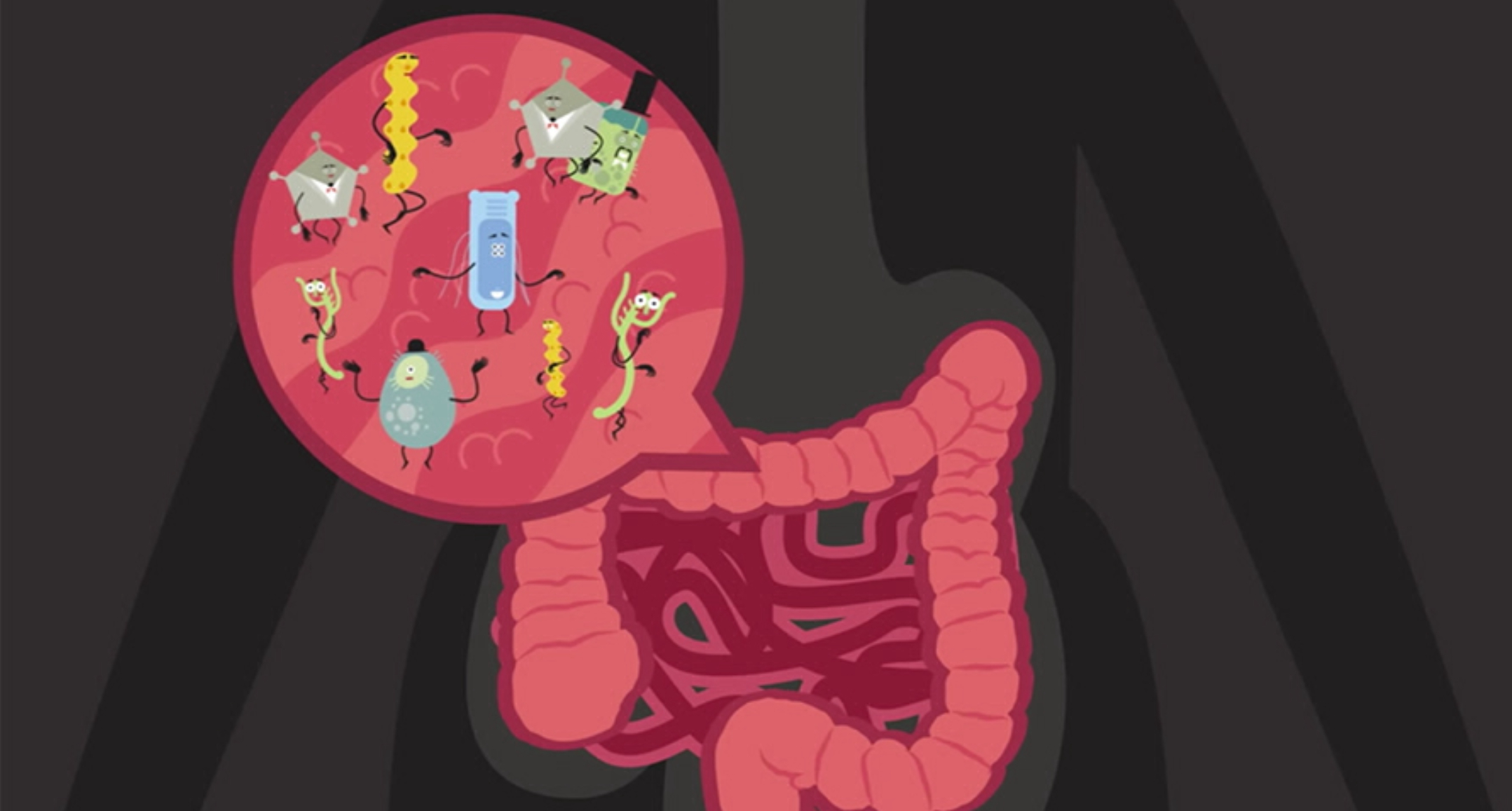 How does the food you eat affect your gut? A TED-ed lesson from Shilpa  Ravella - Gut Microbiota for Health