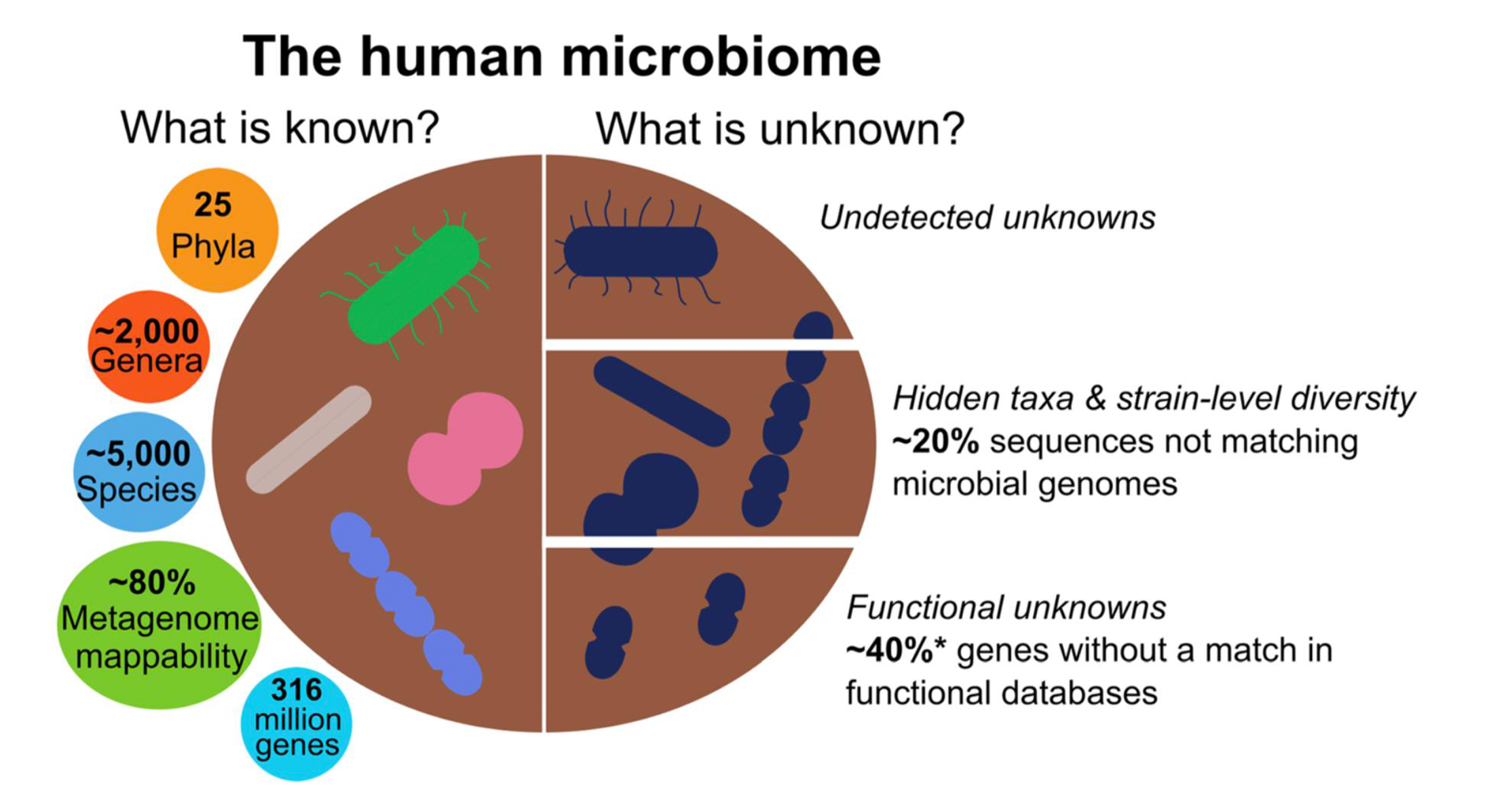 The knowns and unknowns of the human microbiome