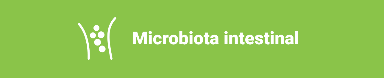 Sobre la microbiota intestinal