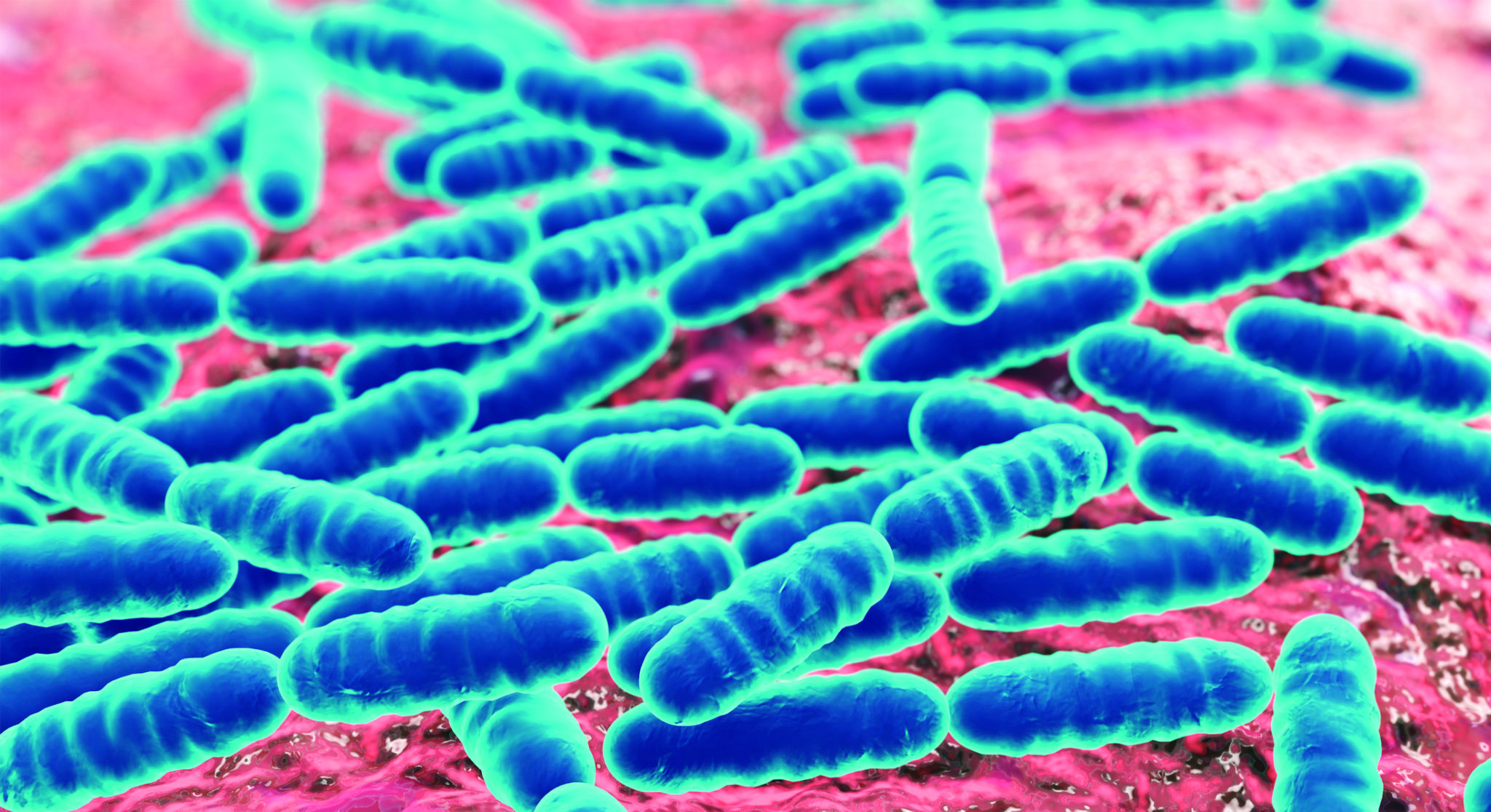 Scientists re-classify the Lactobacillus genus into 25 genera