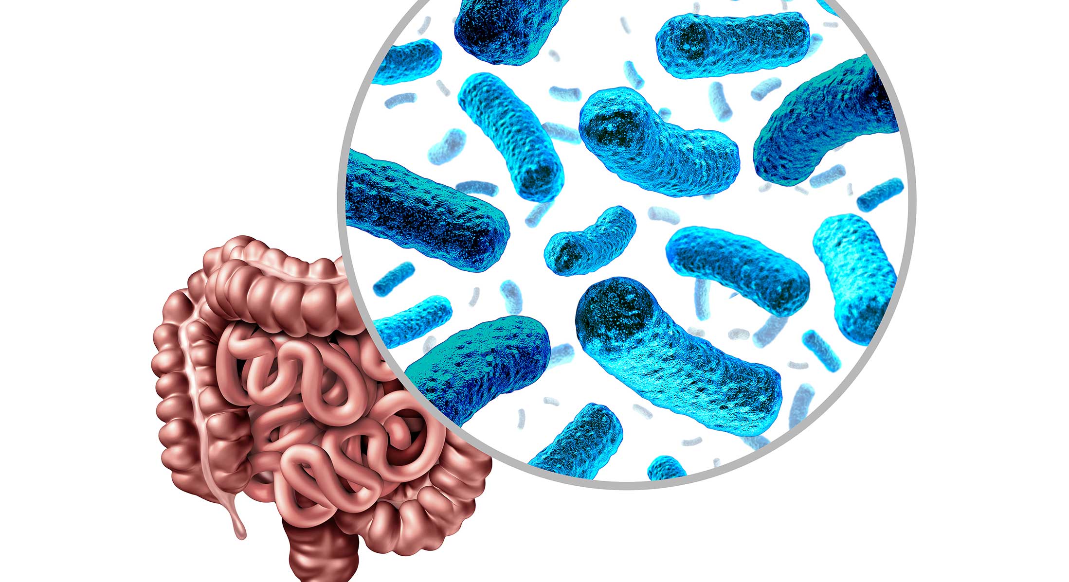 Microbiotica intestinal