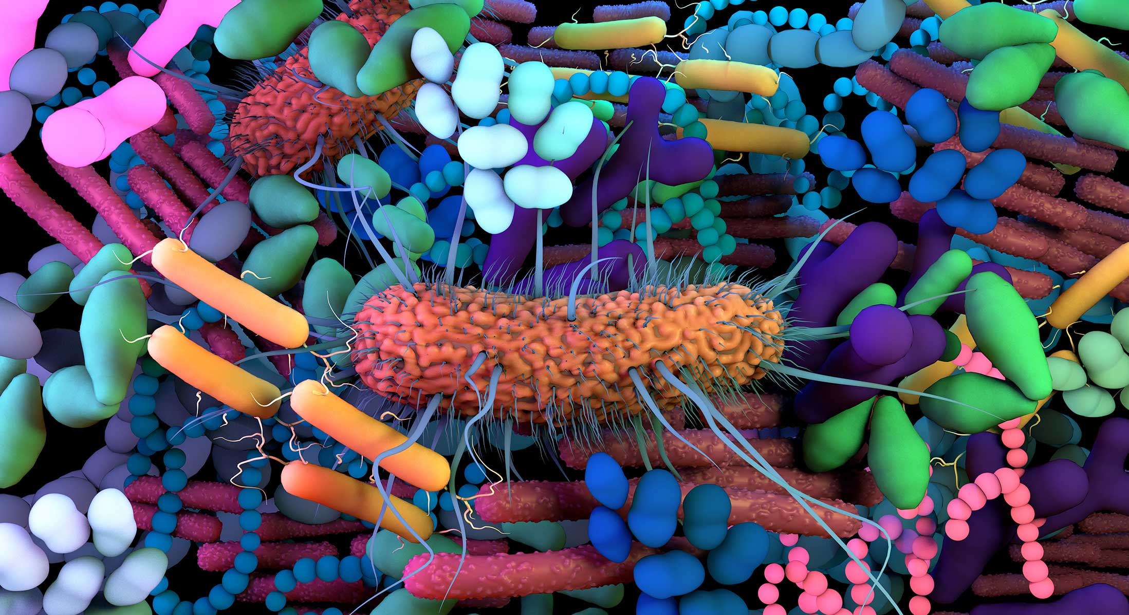 By how many ways microbiome grows & it affects your body ?